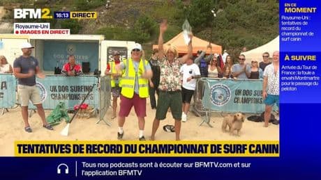 Royaume-Uni: des tentatives de record au championnat de surf canin