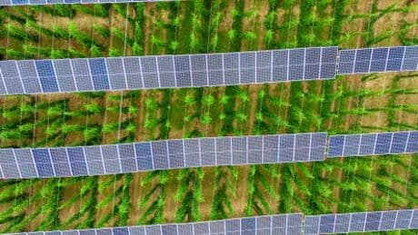 Resilienz im Klimawandel: Die Landwirte im Hallertau jammern nicht, sondern packen an - Kolumne