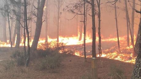 La UME se despliega en Galicia para combatir los incendios de Corme Aldea y Camariñas