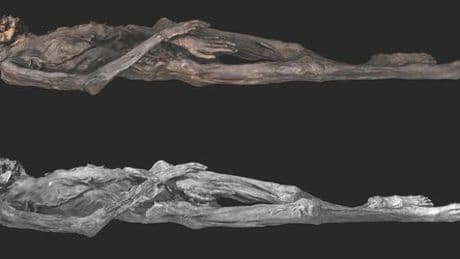 Tätowierungen: Forschende entdecken Tattoos auf 2000 Jahre alter Eismumie aus Sibirien