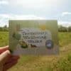 Wellbeing walking maps to encourage green travel