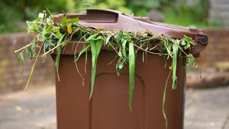 Gartenabfall entsorgen: Wann Äste, Laub & Co. in den Restmüll dürfen