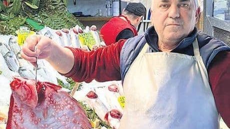 Sezon şampiyonu palamut ve lüfer