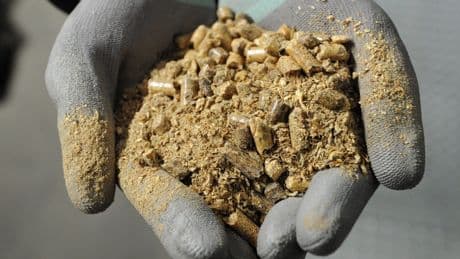 Drax under investigation by City watchdog over biomass sourcing