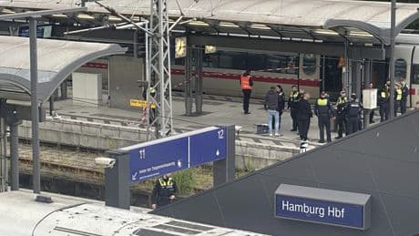 12 people injured in stabbing at Hamburg train station, authorities say