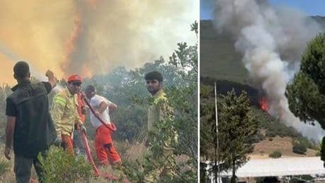 Bursa'da orman yangını! Bölgede enerji akışı kesildi