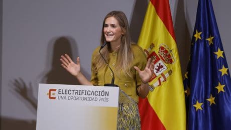 El Gobierno responde a las eléctricas con un multimillonario plan de inversión de 13.600 millones en Red Eléctrica