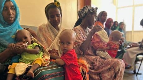 « Le matin, on mange un peu de pain avec du thé. Et le soir, on va souvent se coucher le ventre vide »  : dans la région Afar, en Ethiopie, les ravages de la faim :