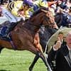 CALUM McCLURKIN: American Affair's Royal Ascot triumph is a Scottish sporting success story to savour