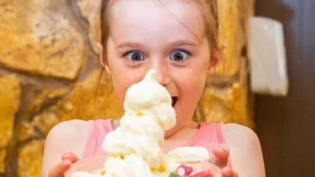 Alton Towers launches new ‘Disney style’ dining plans in UK first with themed meals and snacks