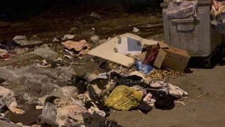 Kartal'da işçiler 'eksik ödeme yapıldığı' gerekçesiyle çöpleri toplamadı