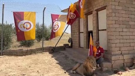 Aslanlarıyla beraber Galatasaray'ın şampiyonluğunu kutladı! Fatih Terim ve Okan Buruk...