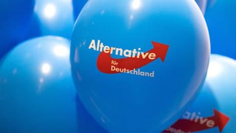 Nach Antrag der Grünen – AfD-Bürgermeisterkandidat nicht zur Wahl zugelassen