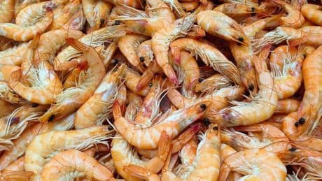 Ces crevettes vendues chez Auchan, Carrefour et U peuvent vous causer des maux de tête