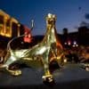 Wettbewerb: Filmfest Locarno: Deutsche Produktion ist Top-Favorit