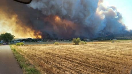 Waldbrände Frankreich: Flammenhölle in Urlaubsregion