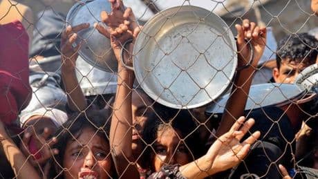 Qu’est-ce que l’état de famine et pourquoi a-t-il été déclaré dans le gouvernorat de la ville de Gaza ?
