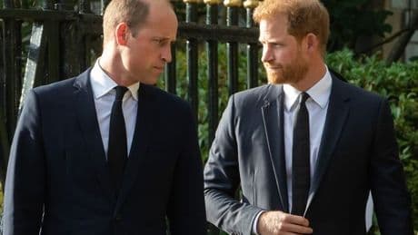 Prince Harry and brother William 'never the friends we were led to believe'