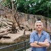 "Auch uns fasst das an": Warum will der Nürnberger Zoo Paviane töten?