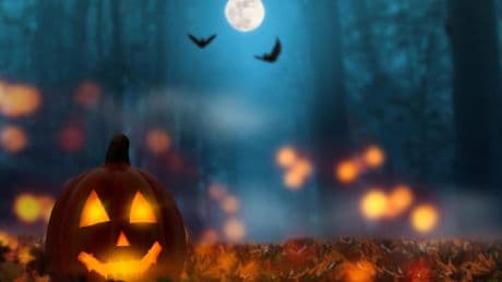 Halloween: Darum geht es an dem Tag