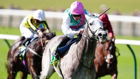 John Gosden out to snap 35-year wait for first Guineas win with hot favourite Field Of Gold