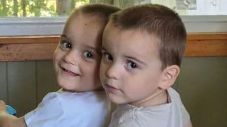 Twin toddlers killed in alleged hit-and-run as mum walked to shop with buggy