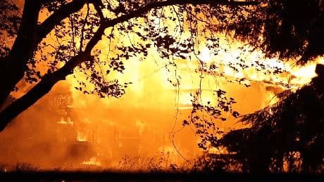 Solingen: Ehemaliger Märchenwald brennt lichterloh – Video zeigt Flammen