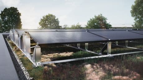 Begrünte Dächer trotz Solaranlage: Neues System macht's möglich