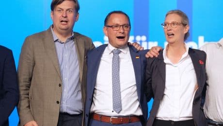 AfD-Gutachten des Verfassungsschutzes: Hochstufung nach Hunderten Zitaten