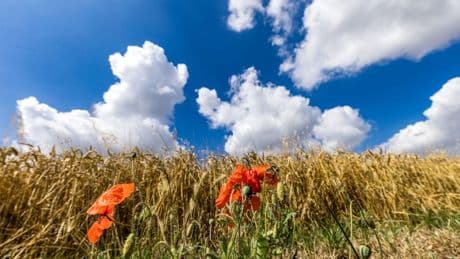 Der September startet mit spätsommerlichem Wetter