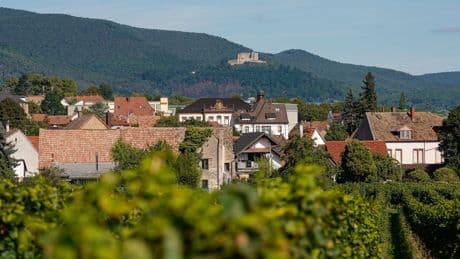 Mit Paraden statt Festzug: Neustadt plant Rheinland-Pfalz-Tag "voller Lebensfreude"