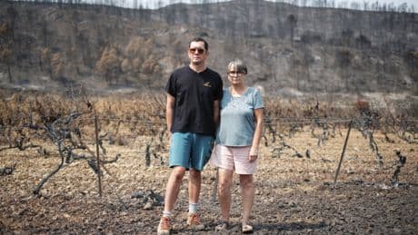 Dans les Corbières, les producteurs de vins désemparés après « l’incendie du siècle »