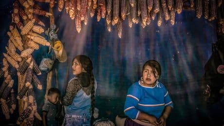 De Asia a América: la genética desvela nuevos detalles de la migración más larga de la humanidad