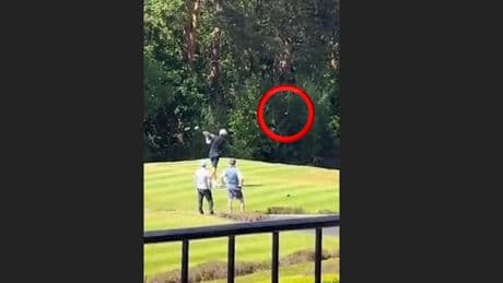 Direkt ins Gebüsch! - Golfer lachen Fußball-Legende aus