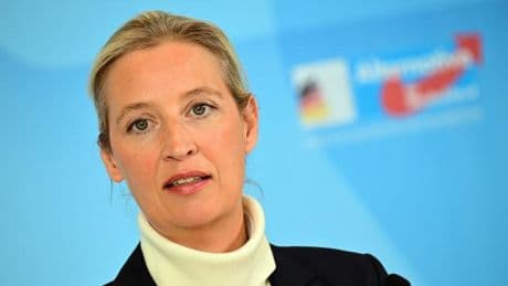 AfD erreicht höchsten jemals gemessenen Wert – „Eine alarmierende Entwicklung“