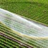 Klimawandel: Kommunen: Bürger auf Wasserknappheit bei Hitze vorbereiten