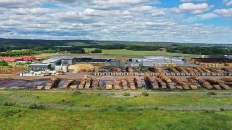En Suède, l’industrie forestière en guerre contre le label de gestion durable FSC