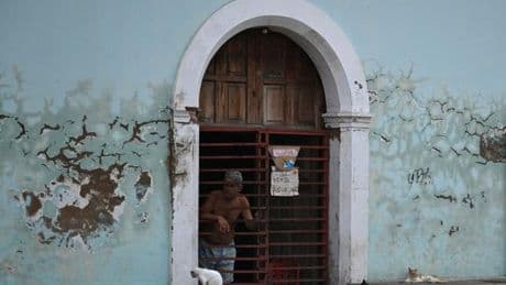 Les oiseaux de Maracaibo, au Venezuela, menacés par la prolifération des chats