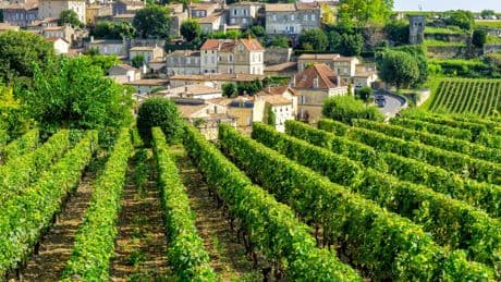 Stéphane Manigold : « Donald Trump taxe nos vignerons ? Cherchez plutôt la schizophrénie française »