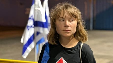 Greta Thunberg arrives on dry land & ‘will be deported’ after Israel seized ‘Freedom Flotilla’ stunt ship & twisted crew