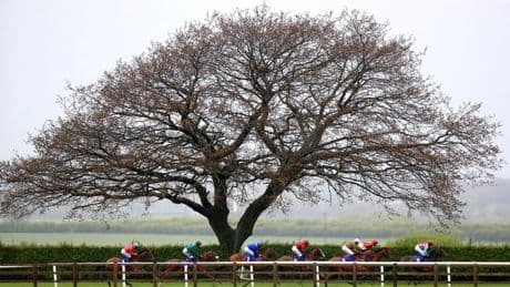 Newsboy's horse racing selections for Monday's five meetings, including Beverley Nap