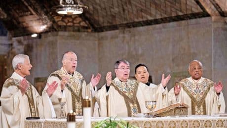 Amerikanische Kardinäle im Konklave: Stimmenvielfalt bei der Papstwahl
