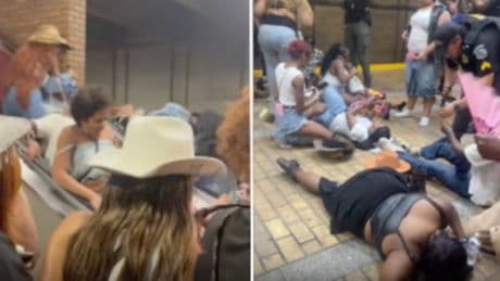 Insect may have caused stampede following Beyoncé concert