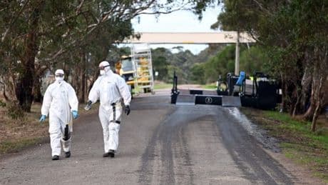 US warned to prepare as bird flu ‘absolutely could be the next pandemic’