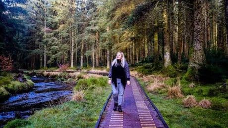 Waterfalls, wildlife and cosy cafe in little-known UK forest trail that locals love
