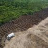 Positiver Trend im Regenwald: Entwaldung in Brasilien 2024 um ein Drittel gesunken