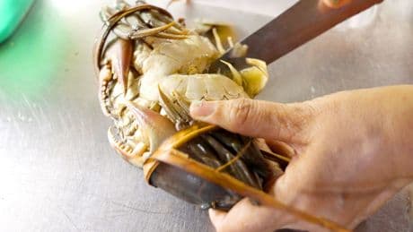 Why Indonesia's mud crab industry could go extinct