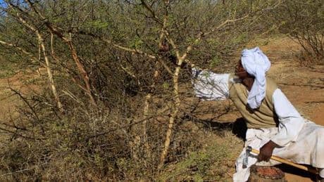 Au Soudan, une attaque contre un village de l’ouest du pays cause la mort de trente civils en deux jours