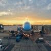 Kabinet gaat in beroep tegen vernietiging natuurvergunning Schiphol
