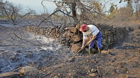 Rekordfeuer: Wie geht es nach den Waldbränden in Spanien weiter?